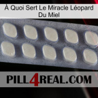 À Quoi Sert Le Miracle Léopard Du Miel 08